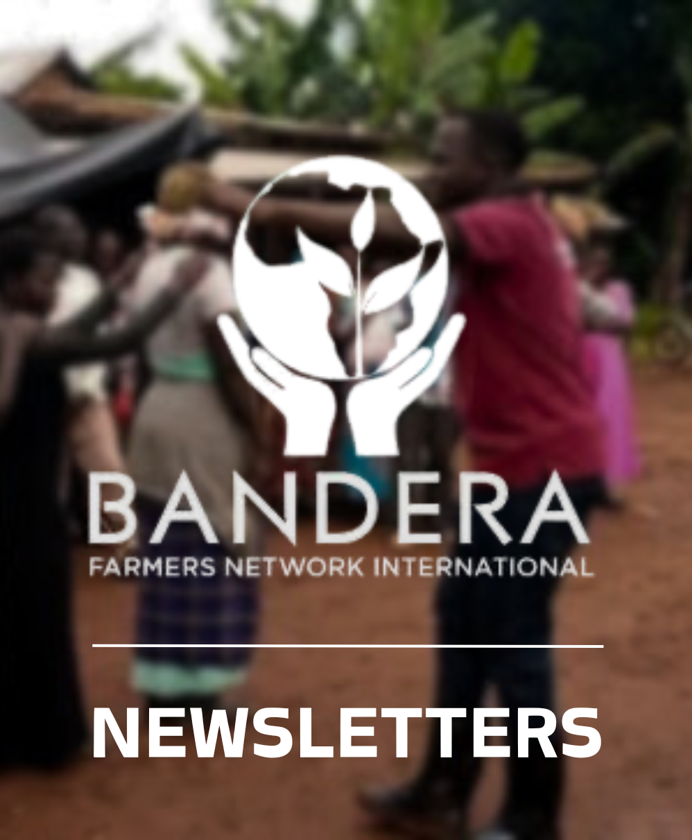 Subscribe our monthly newsletter